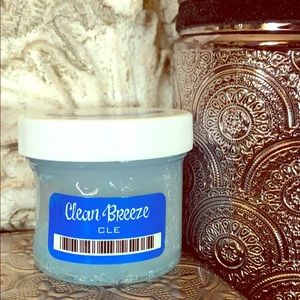 SCENTSY Clean-Breeze wax